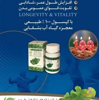 ورود چهار داروی گیاهی جدید دانش بنیان در حوزه پوست، مغز و اعصاب و داخلی به بازار دارویی کشور