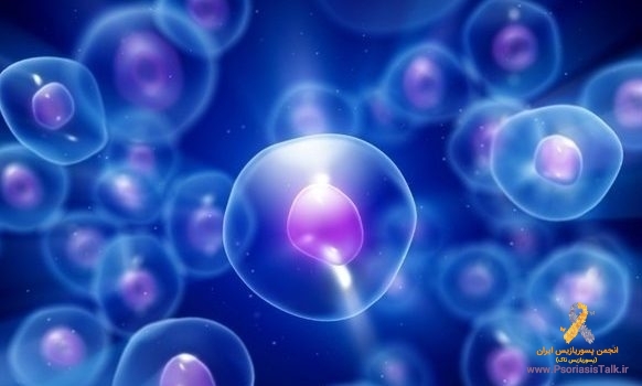 فیبروبلاست