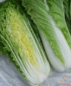 کلم چینی یا بوک چوی چیست؟